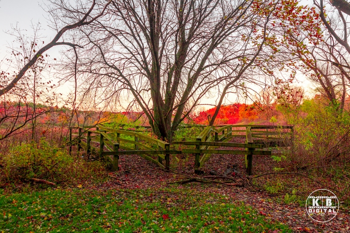 Fall in Rockford, Illinois by KB Digital