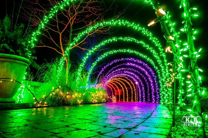 Holiday lights in Rockford, Illinois by KB Digital