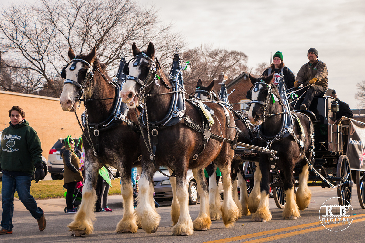 St Patrick's Day Parade in Rockford, Illinois