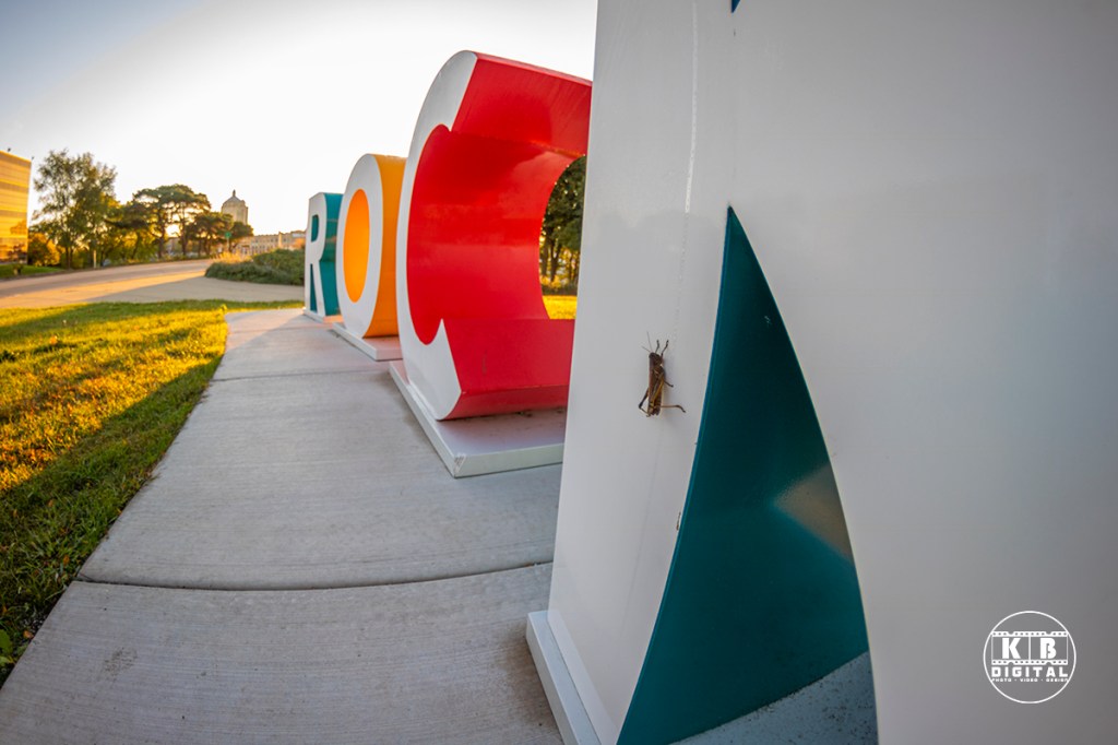 Rockford art by KB Digital