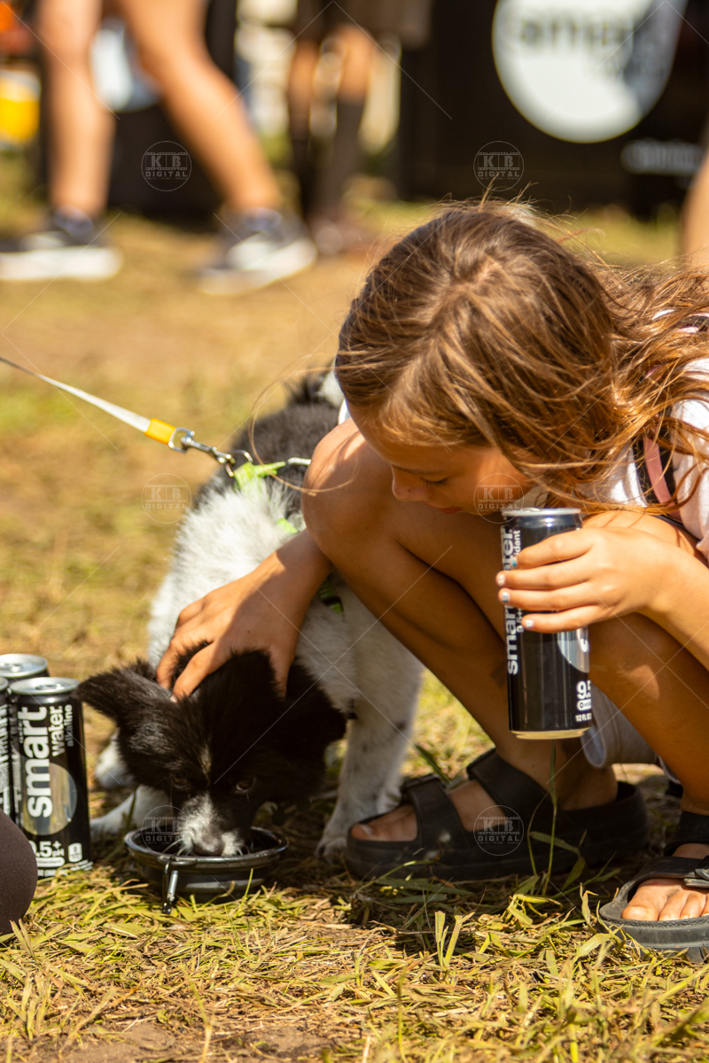 Tough Mudder Chicago competition held in Rockford, Illinois. Photos by KB Digital.